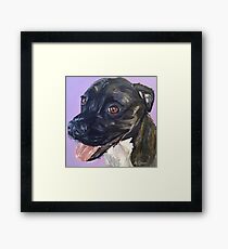 Pit Bull Art by Lee H Keller Framed Print