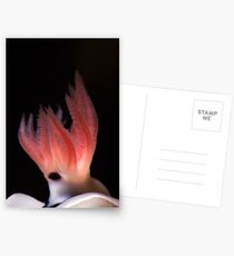 The Flame Postcards