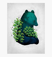 Nature's Embrace Photographic Print