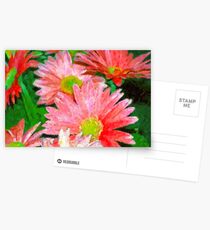 Flowers Up Close Postcards