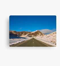 Lindis Pass Canvas Print