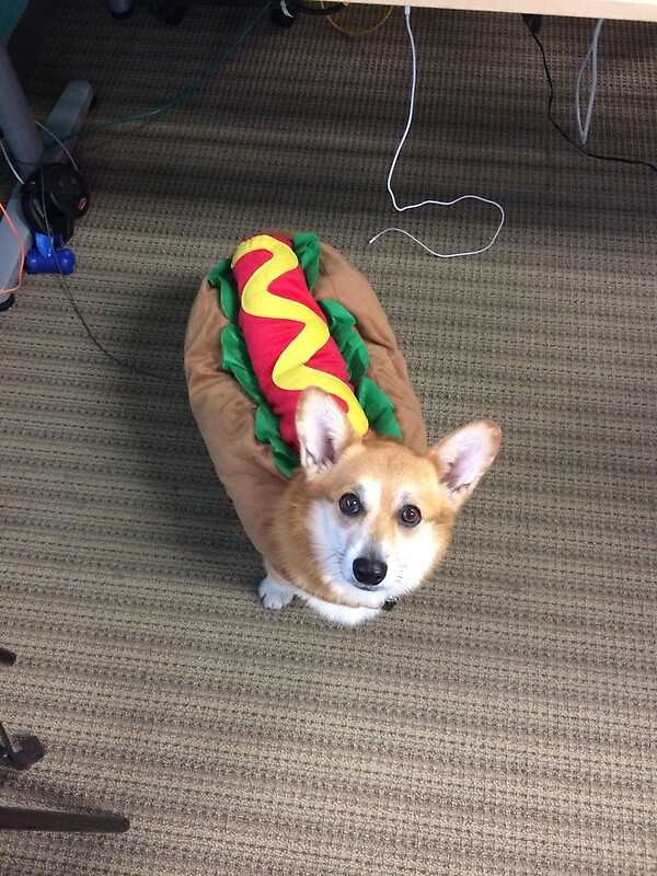 "Corgi in a hot dog costume" by fincher | Redbubble