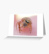 Spider on fingertip Greeting Card