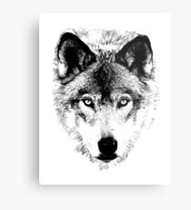 Wolf Face. Digital Wildlife Image. Metal Print
