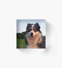 Laddie Acrylic Block