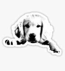 Golden Retriever Puppy Dog Engraving Sticker