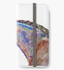 Arabian dream iPhone Wallet/Case/Skin