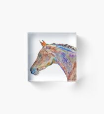 Arabian dream Acrylic Block