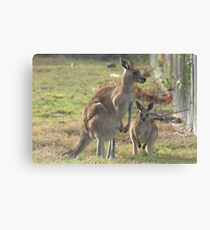 Banner Challenge Canvas Print