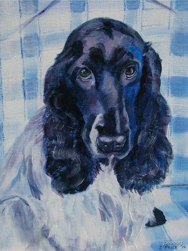 merle cocker spaniel price