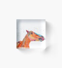 Arabian stallion Zouros Acrylic Block