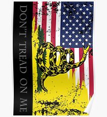 American Gadsden Flag Worn Poster