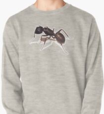 Ant Pullover