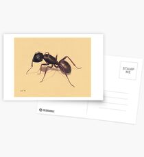 Ant Postcards
