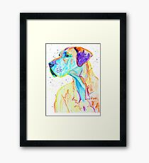 Graceful - great dane dog prints Framed Print