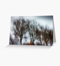 Willow reflection Greeting Card