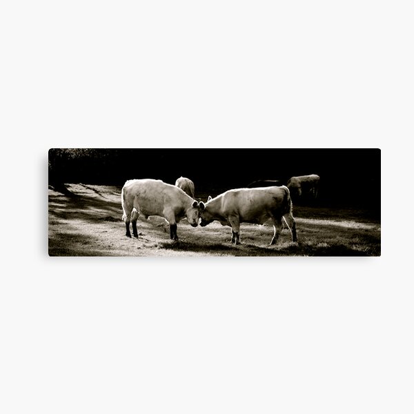 Love Canvas Print