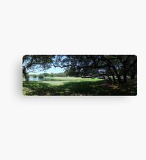 shadows and light Canvas Print