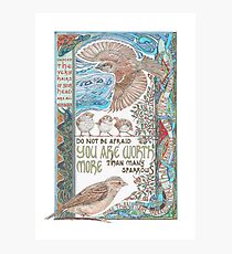 More than Many Sparrows Photographic Print