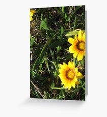 happyness Greeting Card