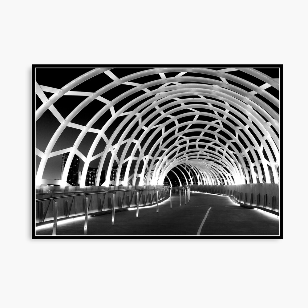 Black Webb Canvas Print