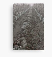 What a Job! Canvas Print