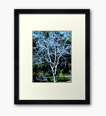 DECIDUOUS TREE Framed Print