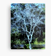 DECIDUOUS TREE Metal Print