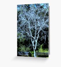 DECIDUOUS TREE Greeting Card