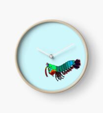 Peacock Mantis Shrimp Clock