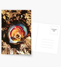 Abrolhos Islands Postcards