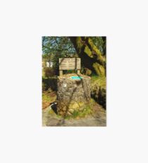 Parking Meter in Dartmoor Art Board