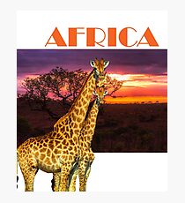 Africa Giraffes and African Sunset Photographic Print