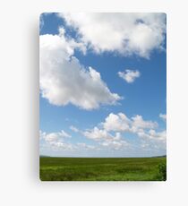 Skys the Limit Canvas Print