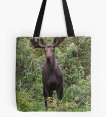 Young Bull Tote Bag