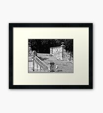 #118 Framed Print