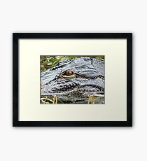 dinasaur eye Framed Print