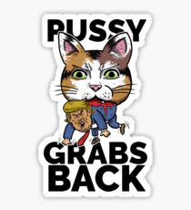 Pussy Grabs Back Sticker