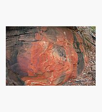 Overhang Photographic Print