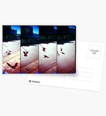 chasing flight Postcards