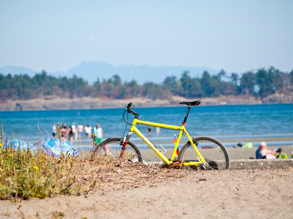 "Beach Cycle" by Rae Tucker Redbubble