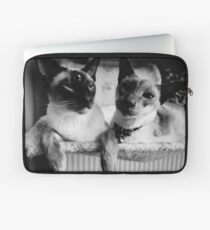 Funda para portátil Los bigotes de los gatos