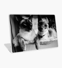 Vinilo para portátil Los bigotes de los gatos