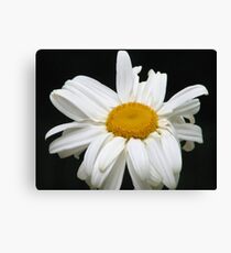 Flower Canvas Print