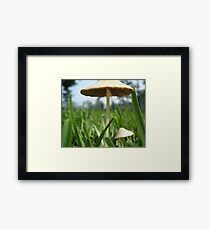big little Framed Print