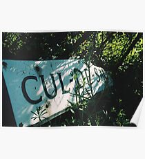 Decadentley, Dilapidated and Culled Poster