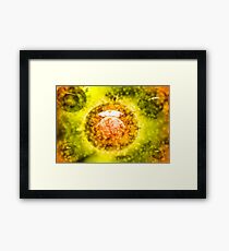 Group of H5N1 virus with glassy view. Framed Print