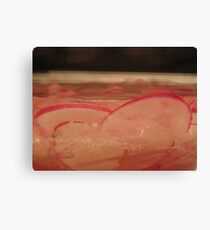 Icebound Canvas Print