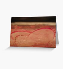 Icebound Greeting Card