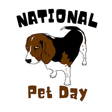 National Pet Day Presents for Pets & Pet Lovers